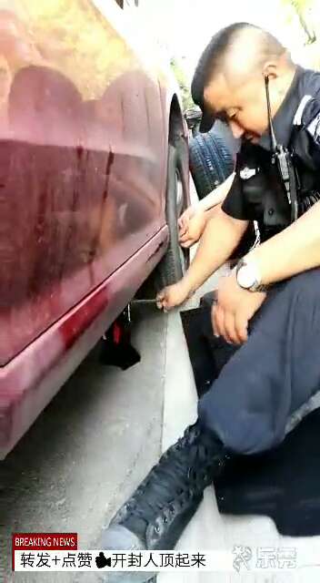 ���⡰���챣������������˽���ף�����Ϊ��.....