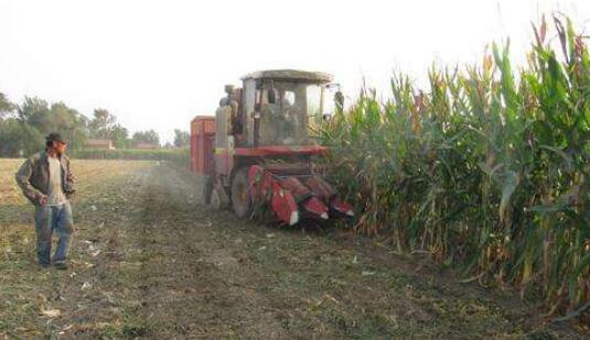 һ���Ż�㷣��50��Ԫ �ܿڳ�̨�ոѽ��շ���