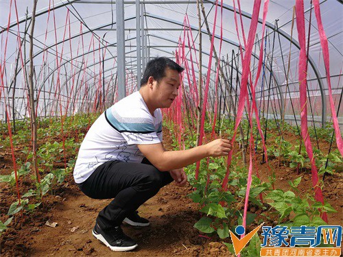  Ⱥ�ڲ���ƶ�ҾͲ����