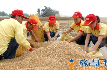 פ����־Ը�ߡ����ġ�����