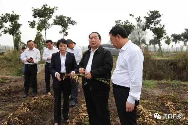 ���쳤���⼸�� �����ܿ���ί����г�զ���ڣ�